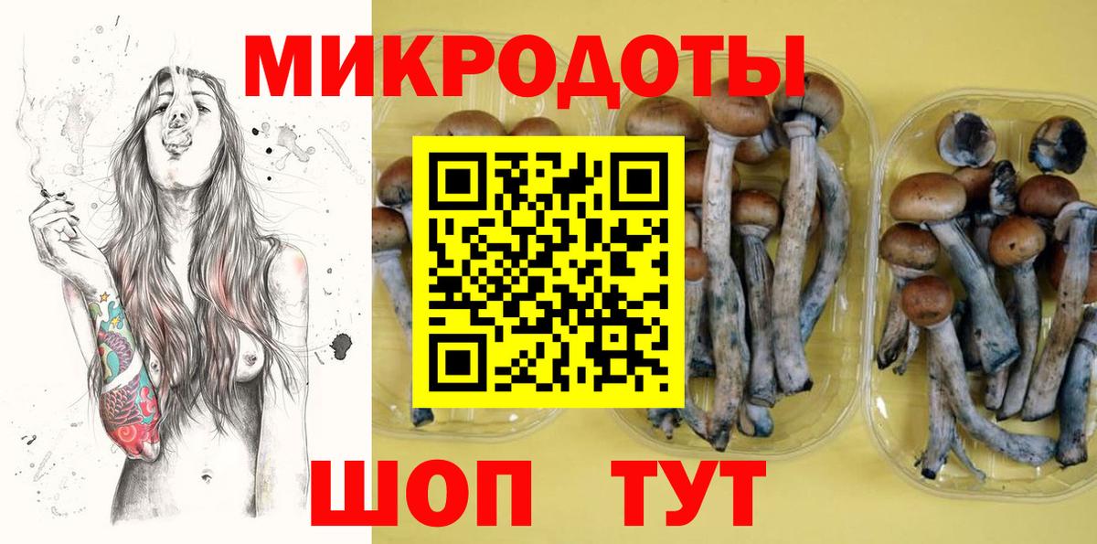 Псилоцибиновые грибы ЛСД Кунгур